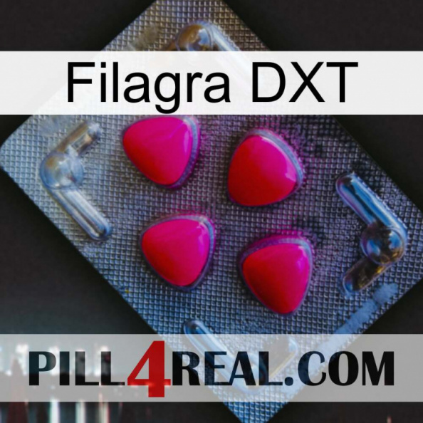 Filagra DXT 13.jpg